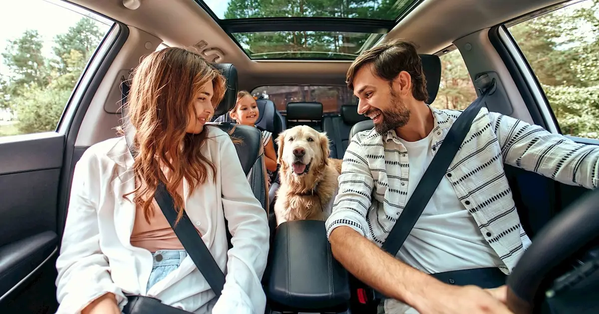 Smiling family with child and dog in a car.
