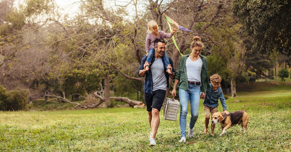 Family walking through park with picnic basket, kite, and their dog.